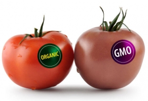 organic-gmo-label
